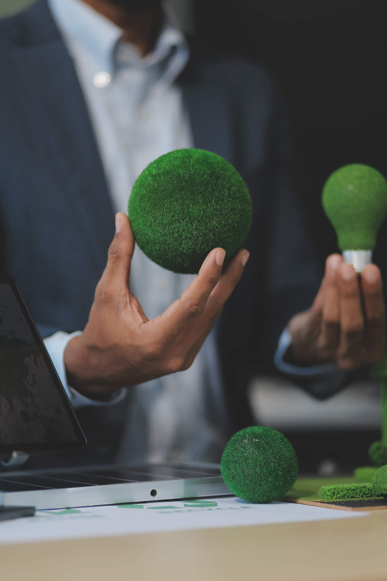 Sustainability & Innovation Consulting